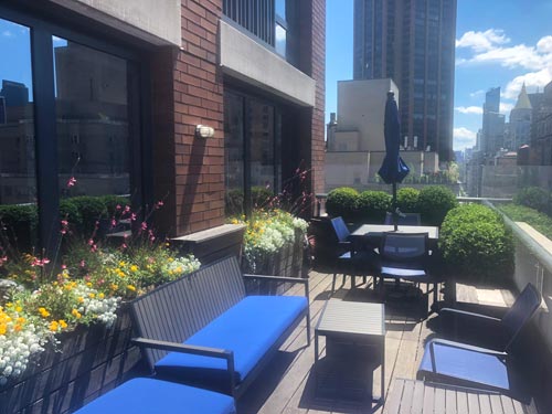 NYC Rooftop Garden